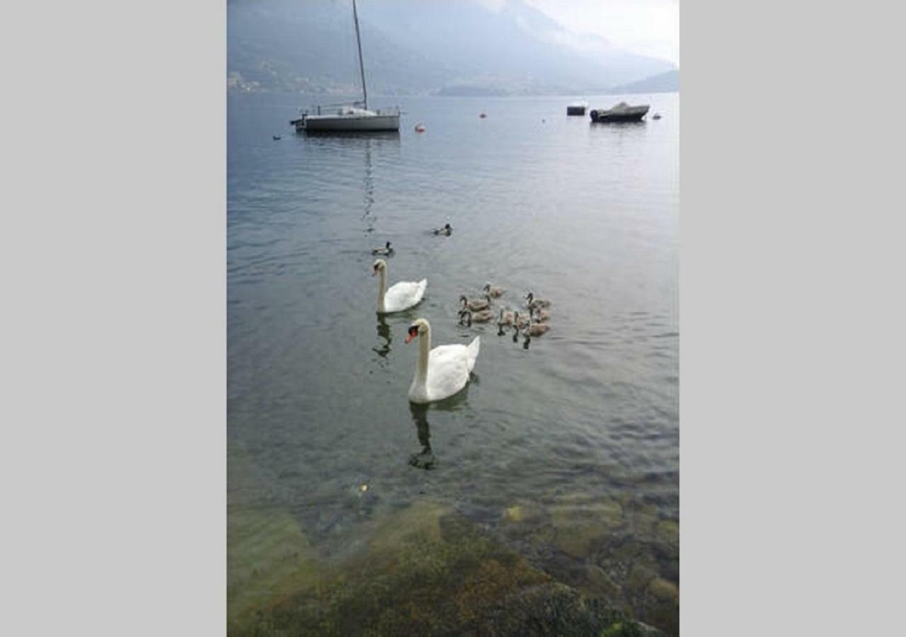 Appartamento Vista Lago - Mary Lezzeno Dış mekan fotoğraf